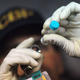 US Customs and Border Protection agriculture specialist uses a magnifying glass to look at a bug he found while inspecting flowers at the Miami International Airport on February 3, 2011 (Photo by Joe Raedle/Getty Images)